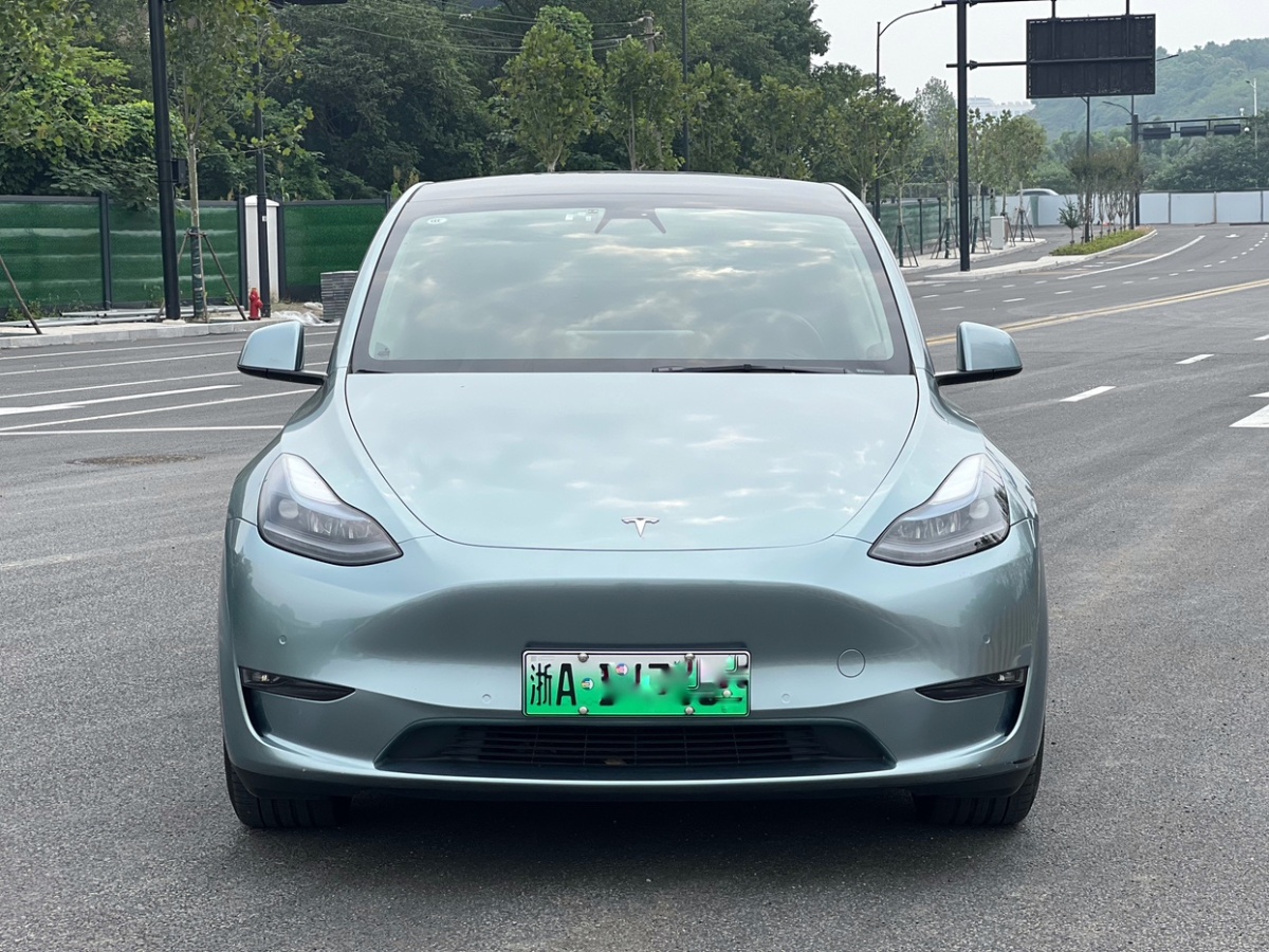 2022年9月特斯拉 Model 3  2022款 Performance高性能全輪驅(qū)動(dòng)版