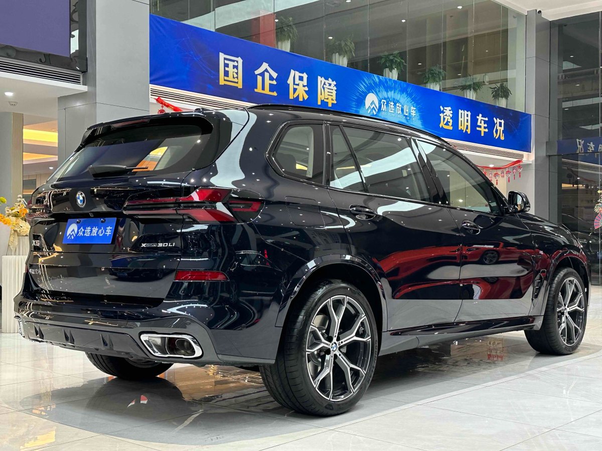 寶馬 寶馬X5  2023款 xDrive 30Li 尊享型M運(yùn)動(dòng)套裝圖片