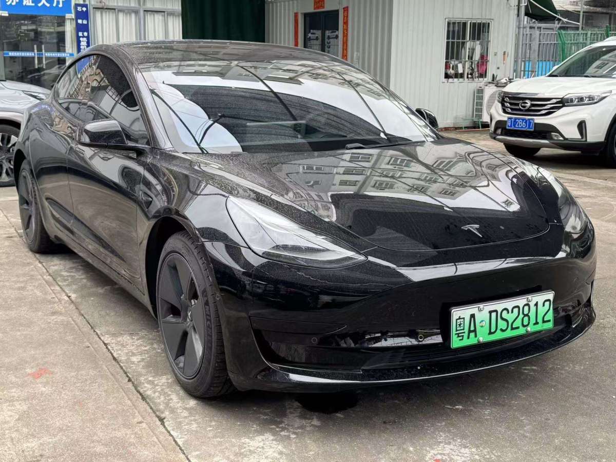 特斯拉 Model 3  2019款 標(biāo)準(zhǔn)續(xù)航后驅(qū)升級版圖片