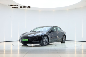 Model 3 特斯拉 标准续航后驱升级版