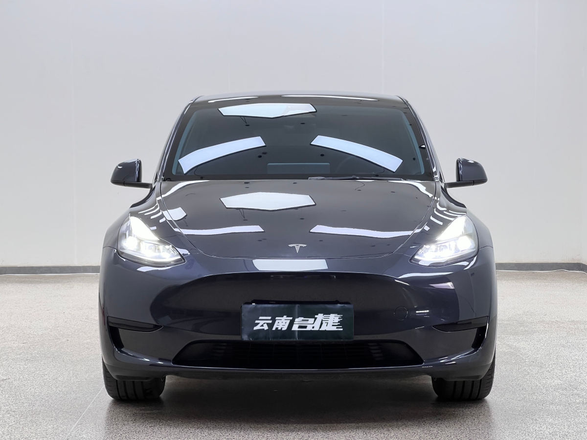 特斯拉 Model Y  2020款 改款 長續(xù)航后輪驅(qū)動(dòng)版圖片