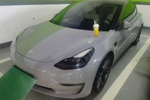 Model S 特斯拉 Performance 高性能版