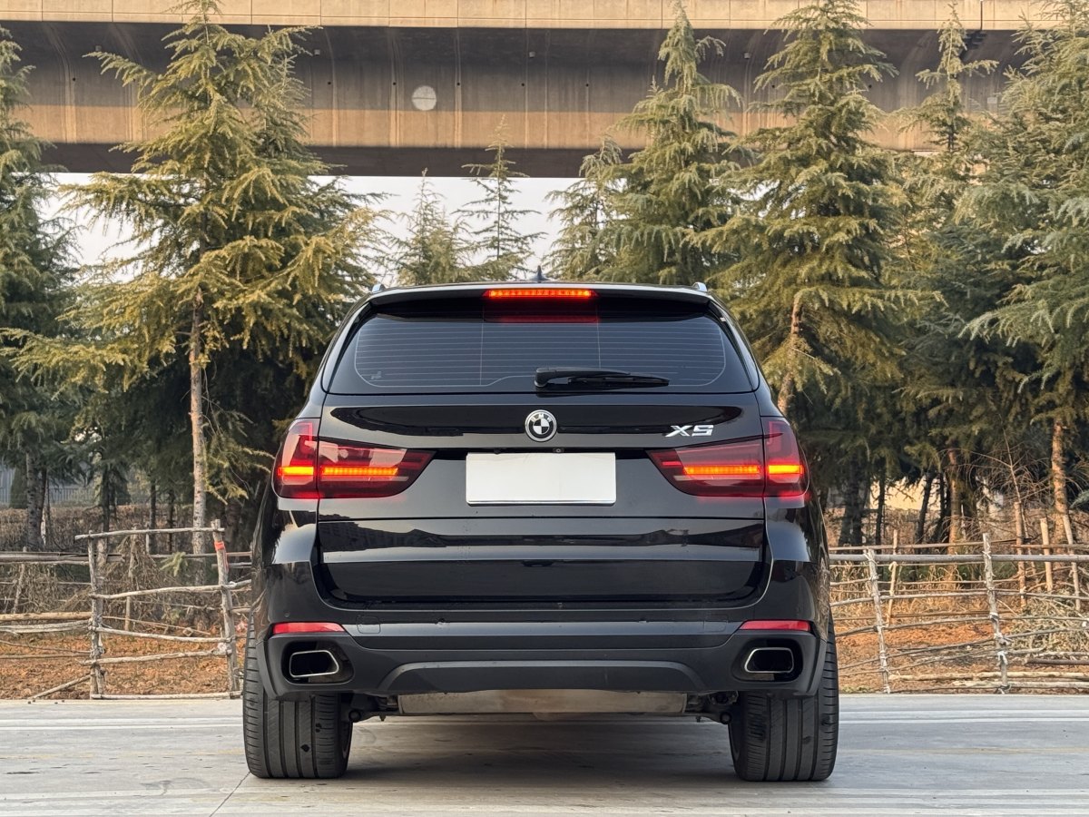 寶馬 寶馬X5  2014款 xDrive35i 領(lǐng)先型圖片