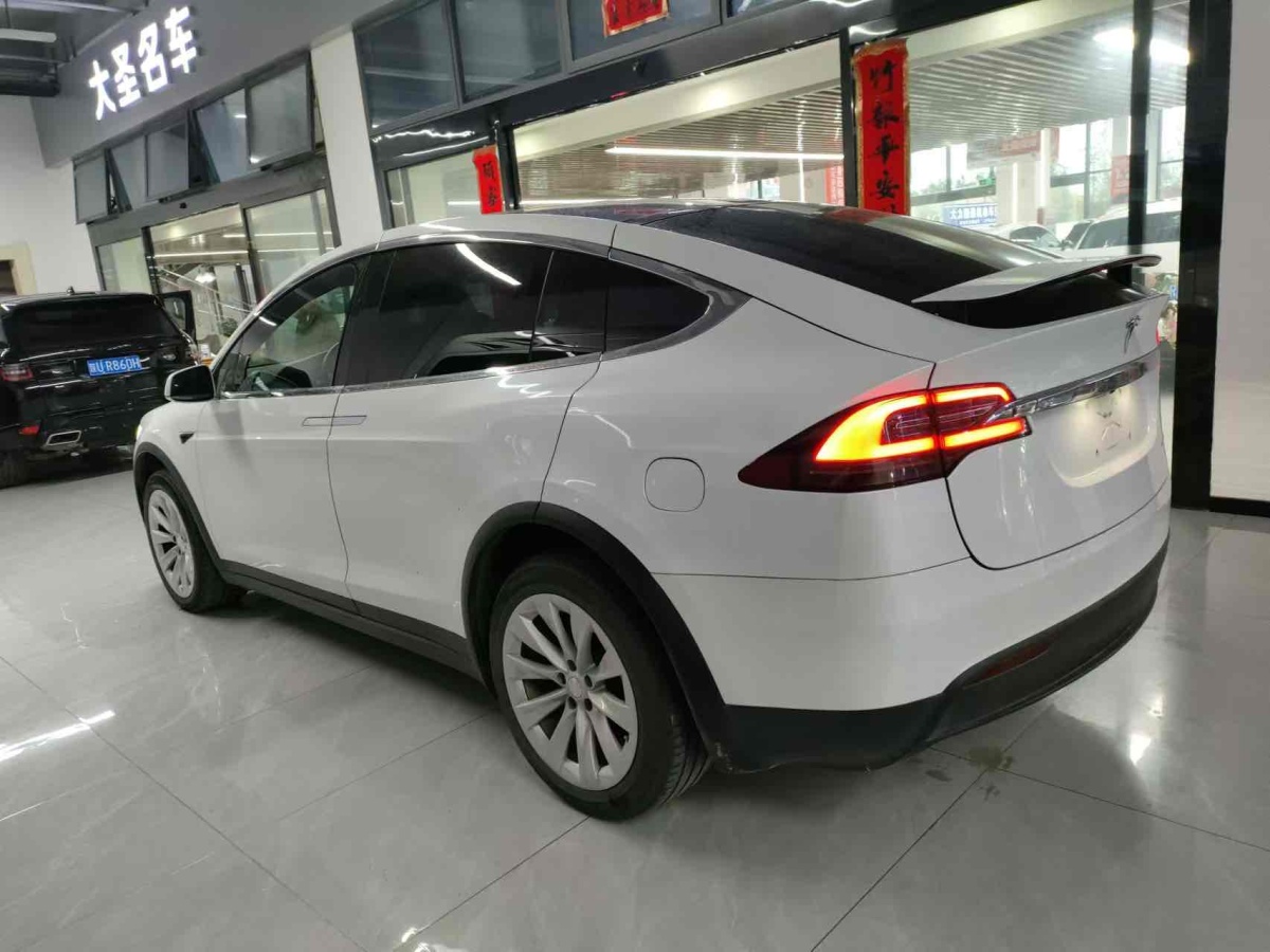 特斯拉 Model X  2019款 長續(xù)航版圖片