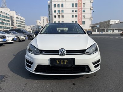 2015年1月 大眾 高爾夫 1.4TSI 自動舒適型圖片