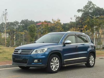 2012年1月 大眾 途歡(進(jìn)口) 2.0 TDI 舒適版圖片