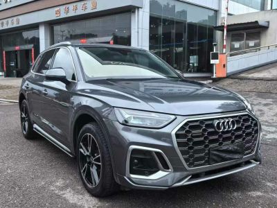 2021年8月 奧迪 奧迪SQ5(進(jìn)口) 3.0 TFSI quattro圖片