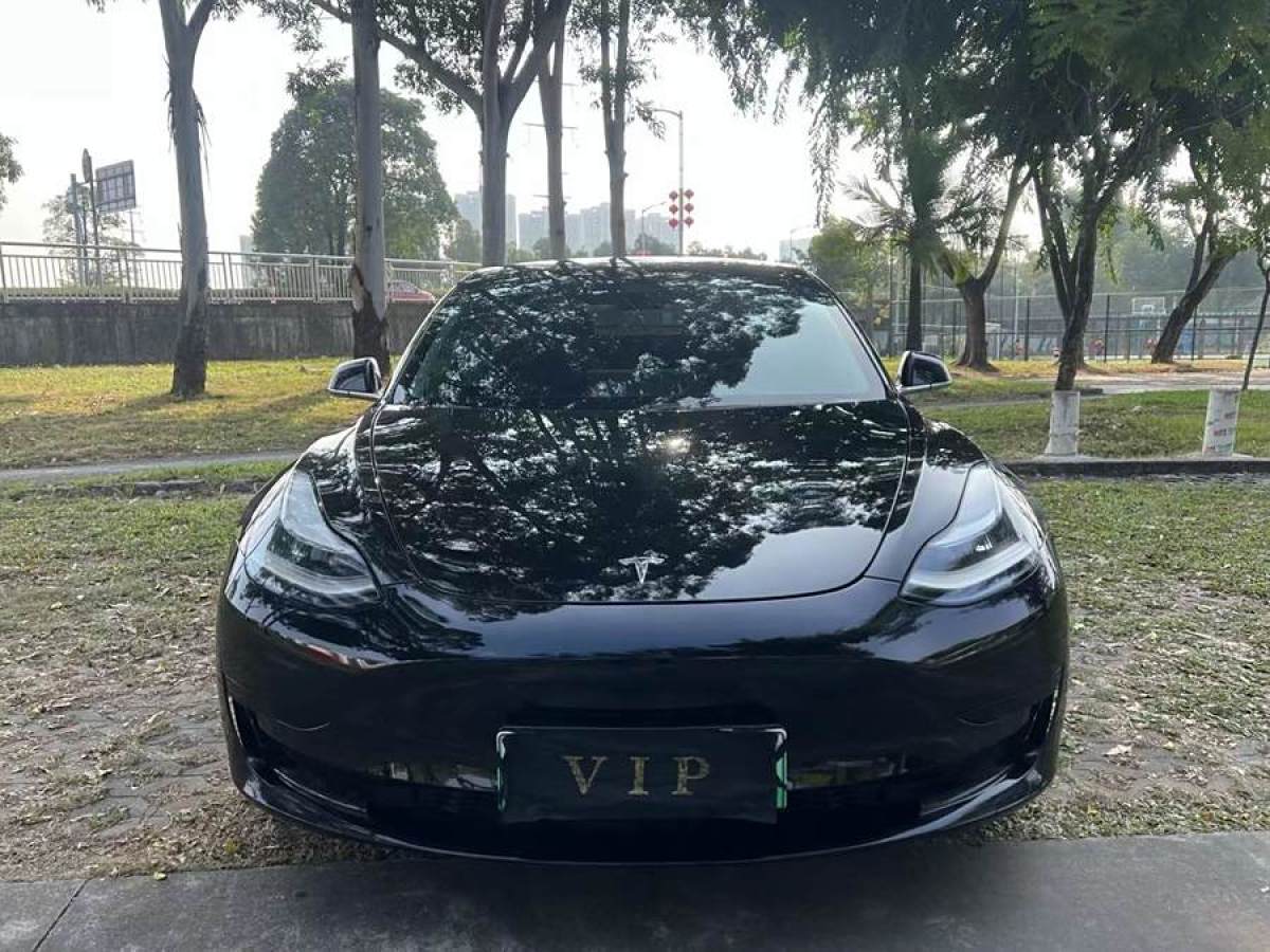 特斯拉 Model 3  2020款 改款 標準續(xù)航后驅(qū)升級版圖片