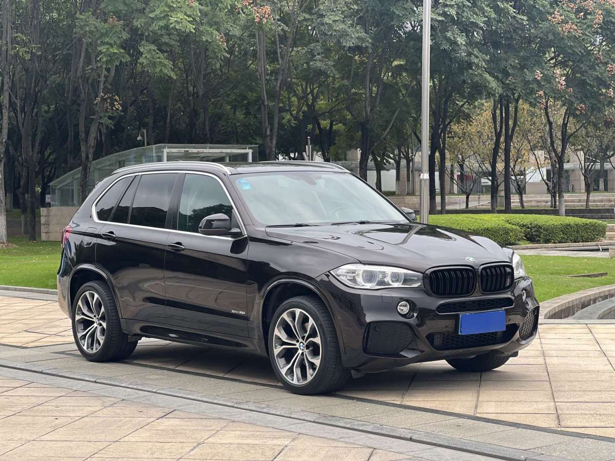 寶馬 寶馬X5  2014款 xDrive35i 尊享型圖片