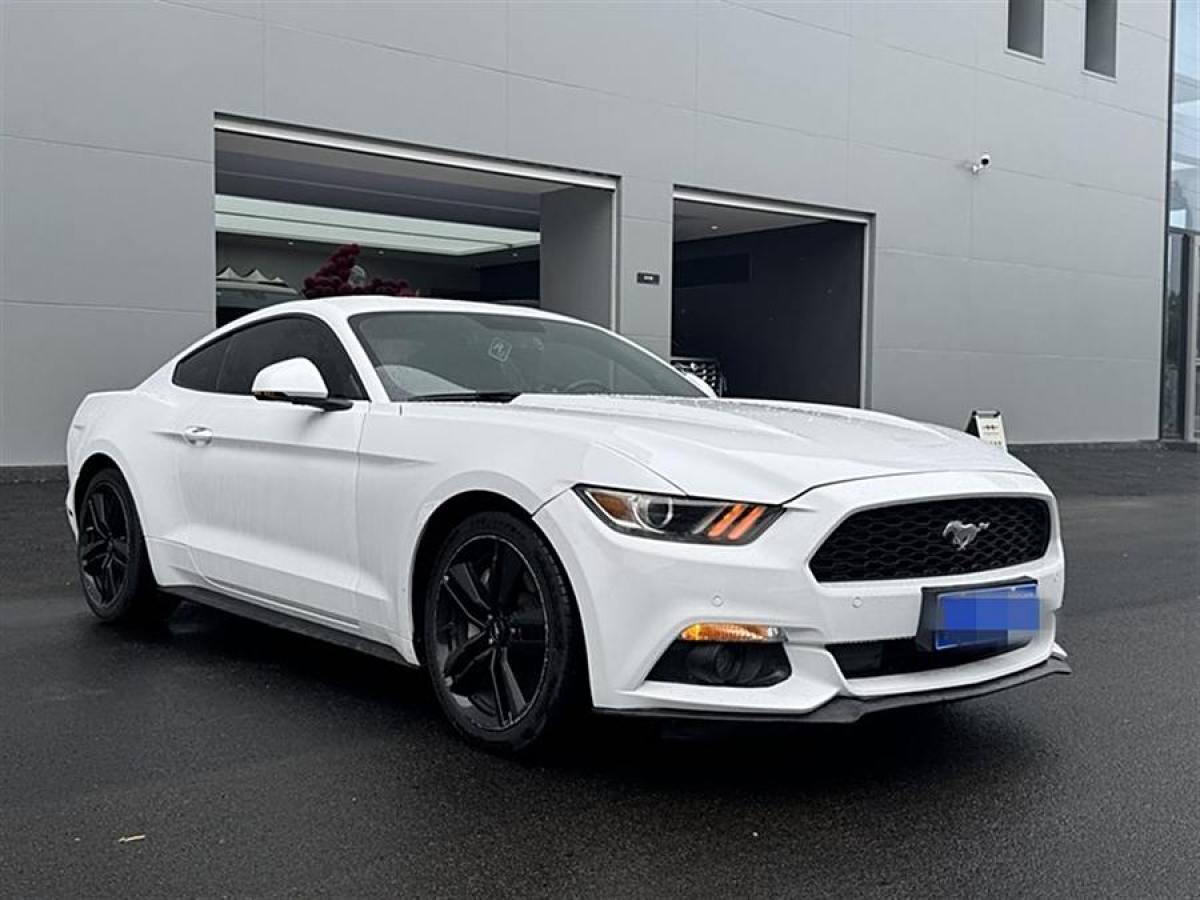 福特 Mustang  2015款 2.3T 50周年紀(jì)念版圖片