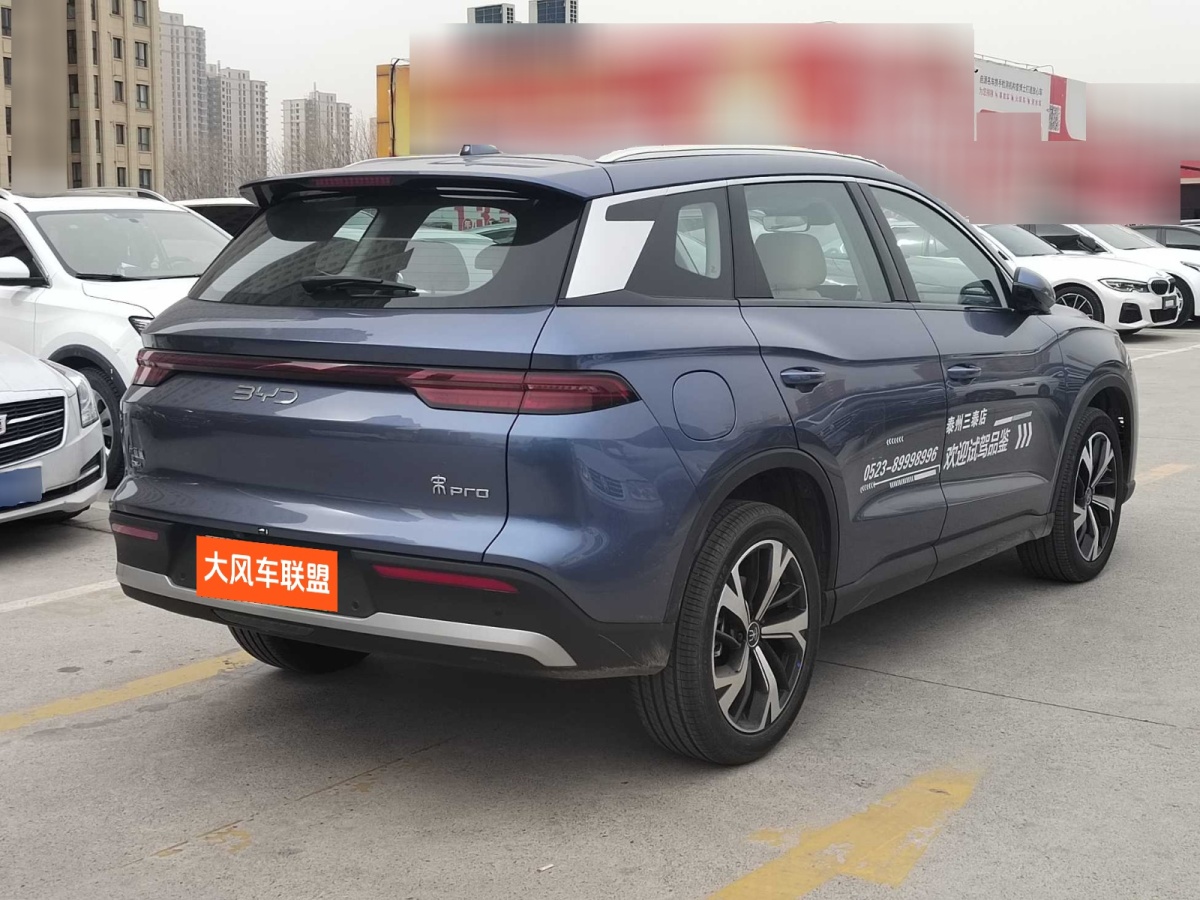 比亞迪 宋Pro新能源  2025款 DM-i 115KM卓越型圖片