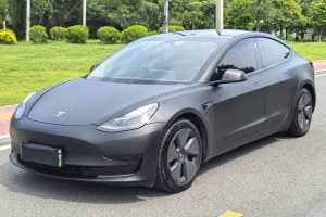 Model 3 特斯拉 改款 標準續(xù)航后驅升級版
