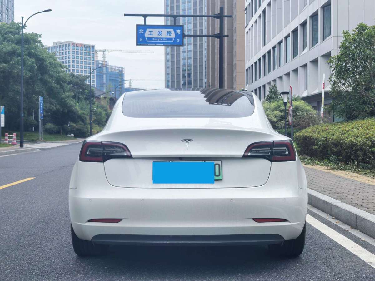 特斯拉 Model 3  2019款 長(zhǎng)續(xù)航后驅(qū)版圖片