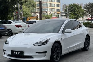 Model 3 特斯拉 标准续航后驱升级版