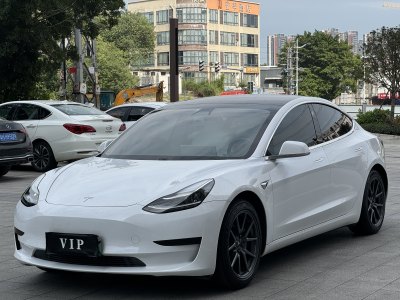 2020年8月 特斯拉 Model 3 标准续航后驱升级版图片