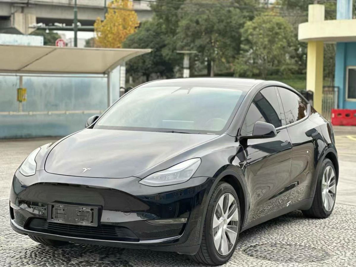 特斯拉 Model 3  2022款 Performance高性能全輪驅(qū)動(dòng)版圖片