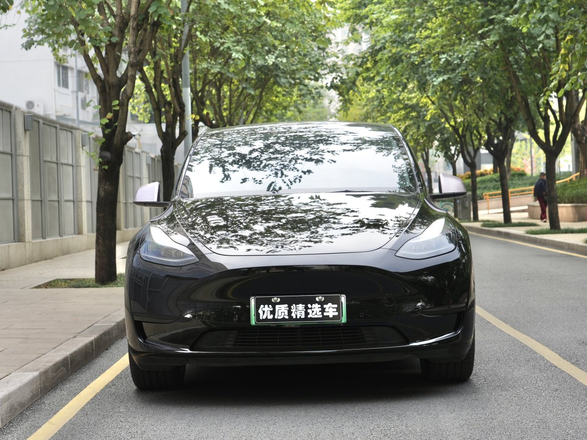 2023年4月特斯拉 Model 3  2022款 后輪驅(qū)動(dòng)版