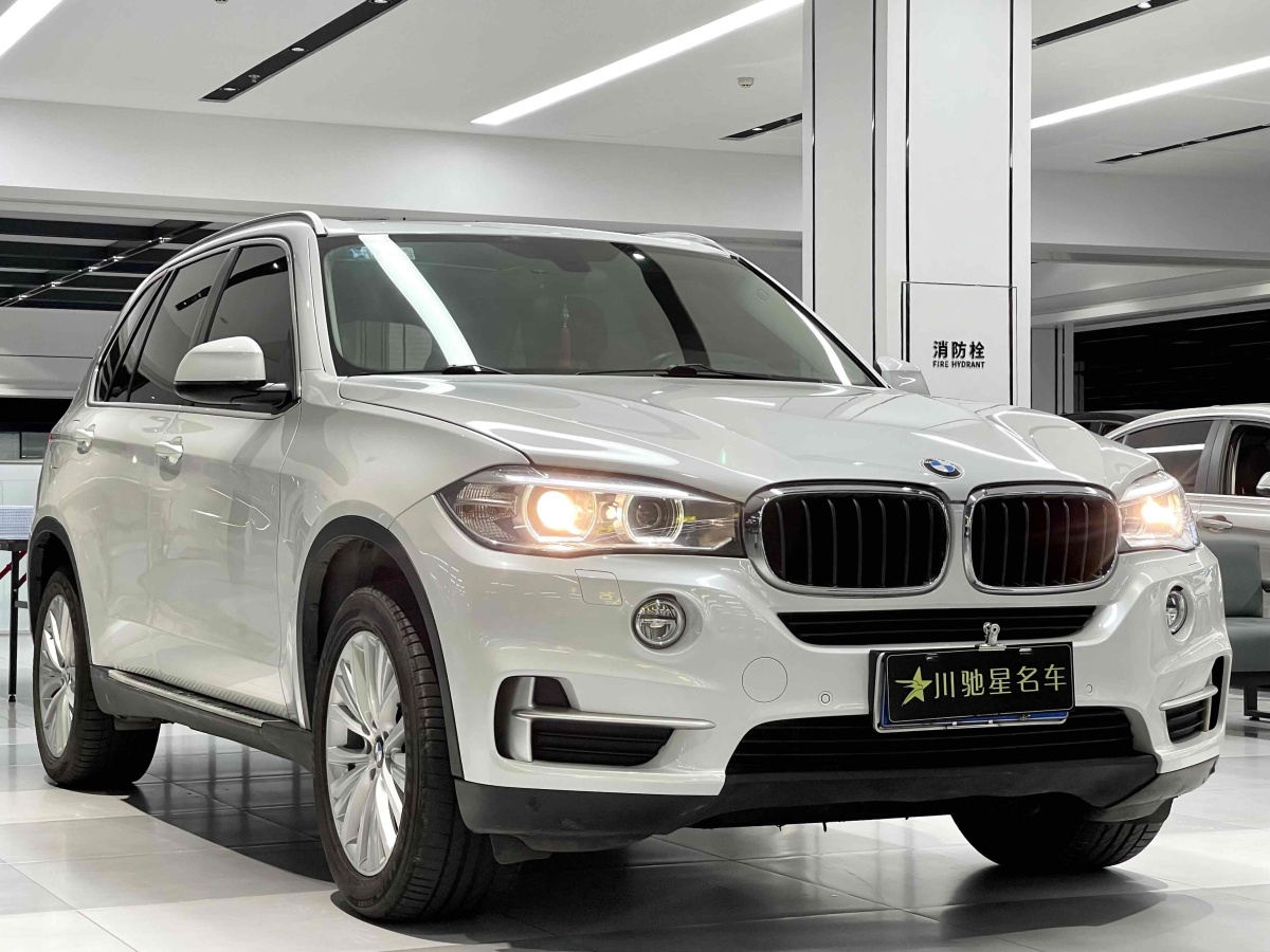 寶馬 寶馬X5  2014款 xDrive35i 領(lǐng)先型圖片