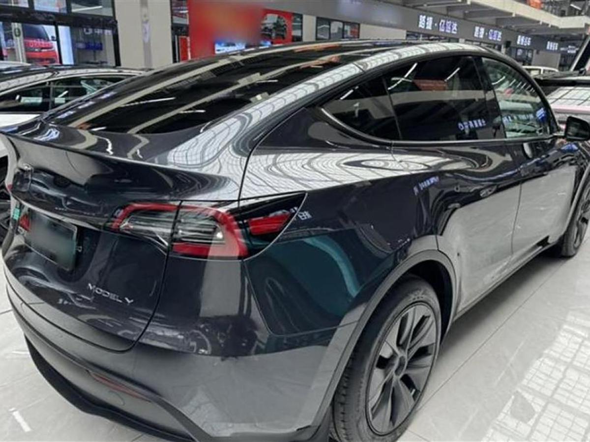 特斯拉 Model 3  2020款 改款 長(zhǎng)續(xù)航后輪驅(qū)動(dòng)版圖片