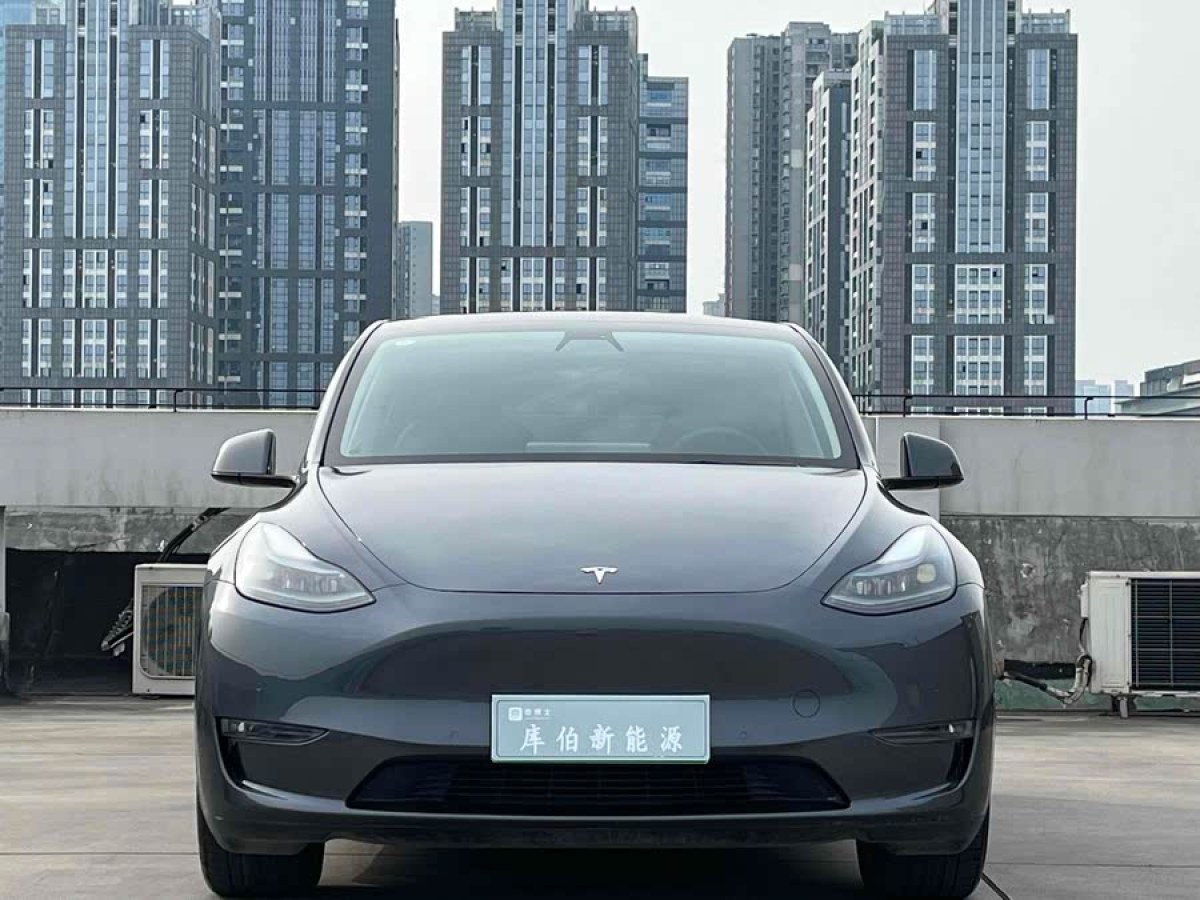 特斯拉 Model Y  2021款 改款 長(zhǎng)續(xù)航全輪驅(qū)動(dòng)版圖片