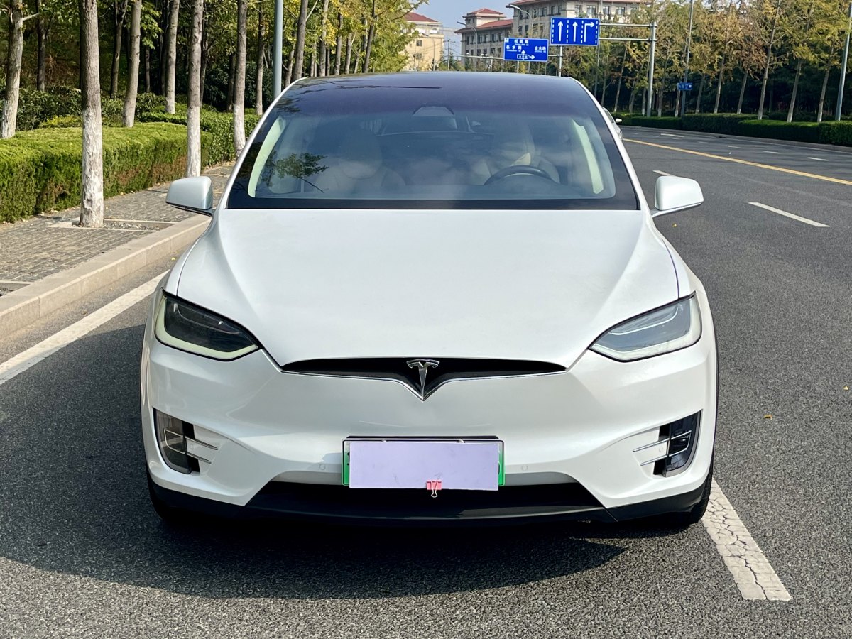 特斯拉 Model X  2016款 Model X 60D圖片