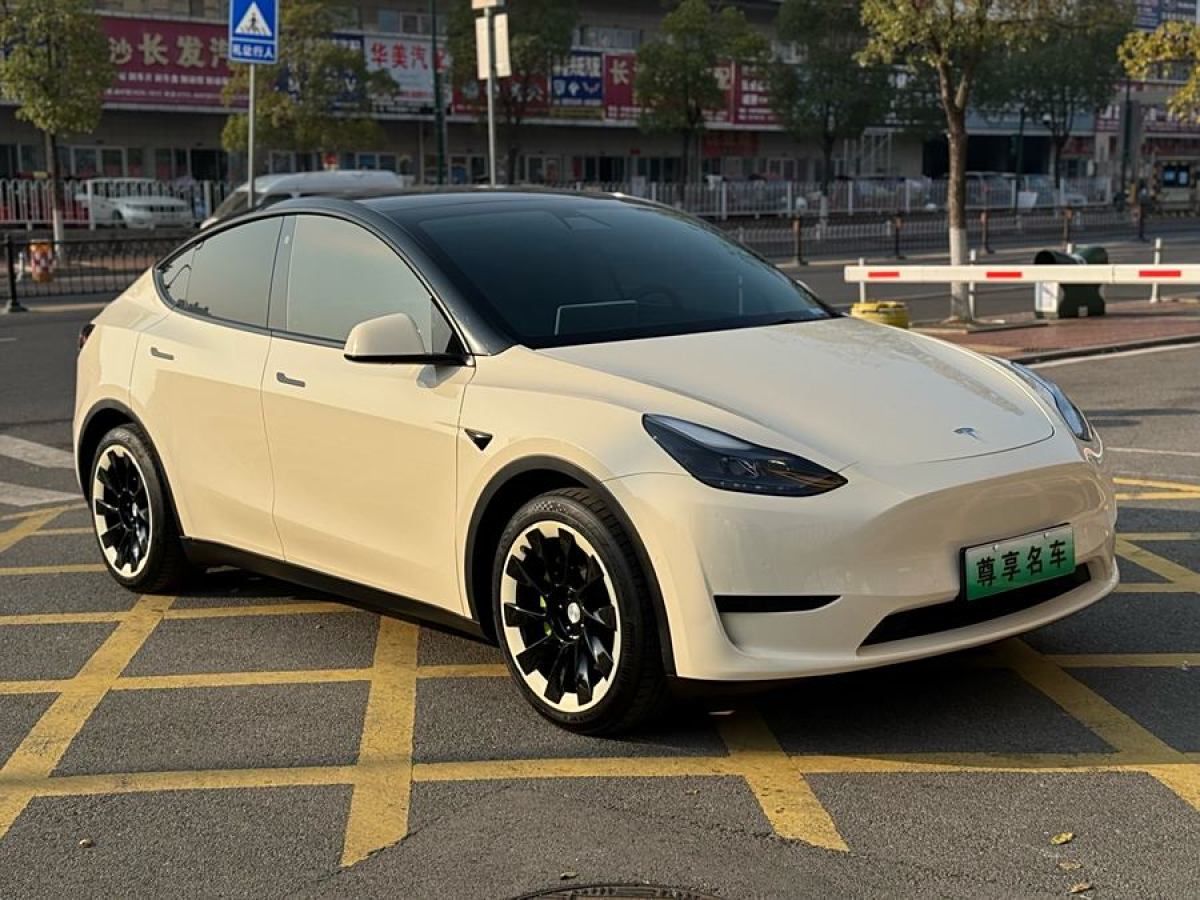 2022年3月特斯拉 Model 3  2022款 后輪驅(qū)動(dòng)版