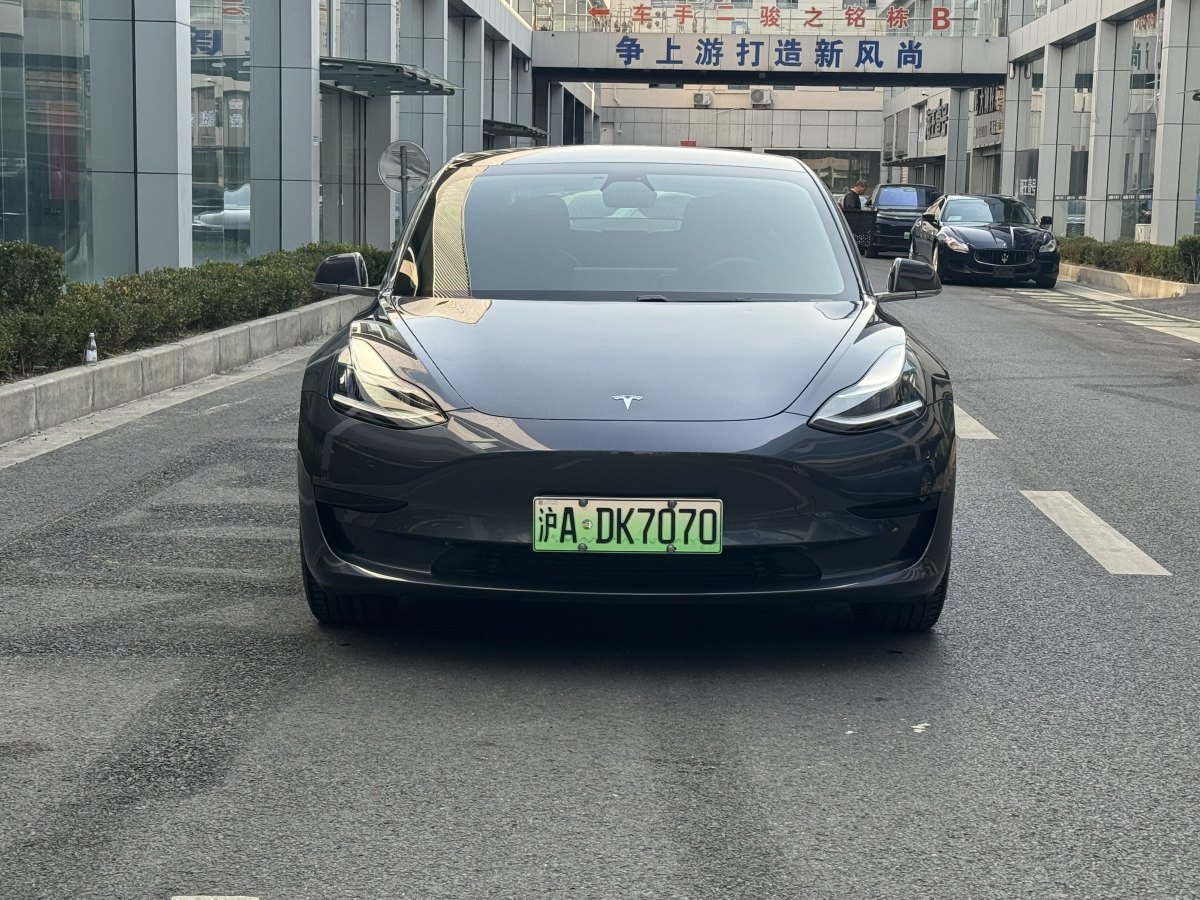 特斯拉 Model 3  2019款 標(biāo)準(zhǔn)續(xù)航后驅(qū)升級(jí)版圖片