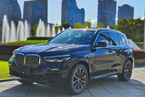 宝马X5 宝马 xDrive30i X设计套装