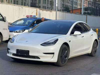 2020年06月 特斯拉 Model 3 標(biāo)準(zhǔn)續(xù)航后驅(qū)升級(jí)版圖片