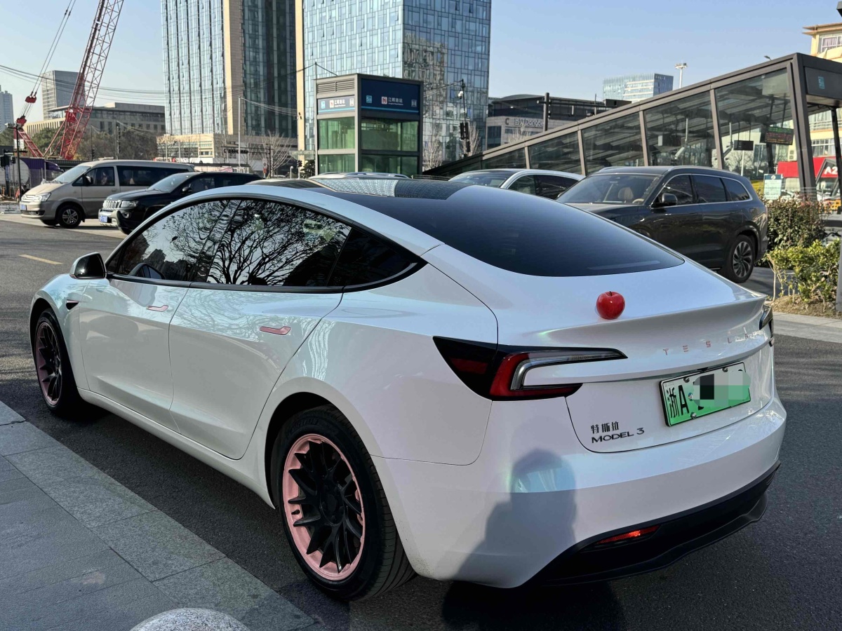 特斯拉 Model 3  2023款 煥新版 后輪驅(qū)動(dòng)圖片