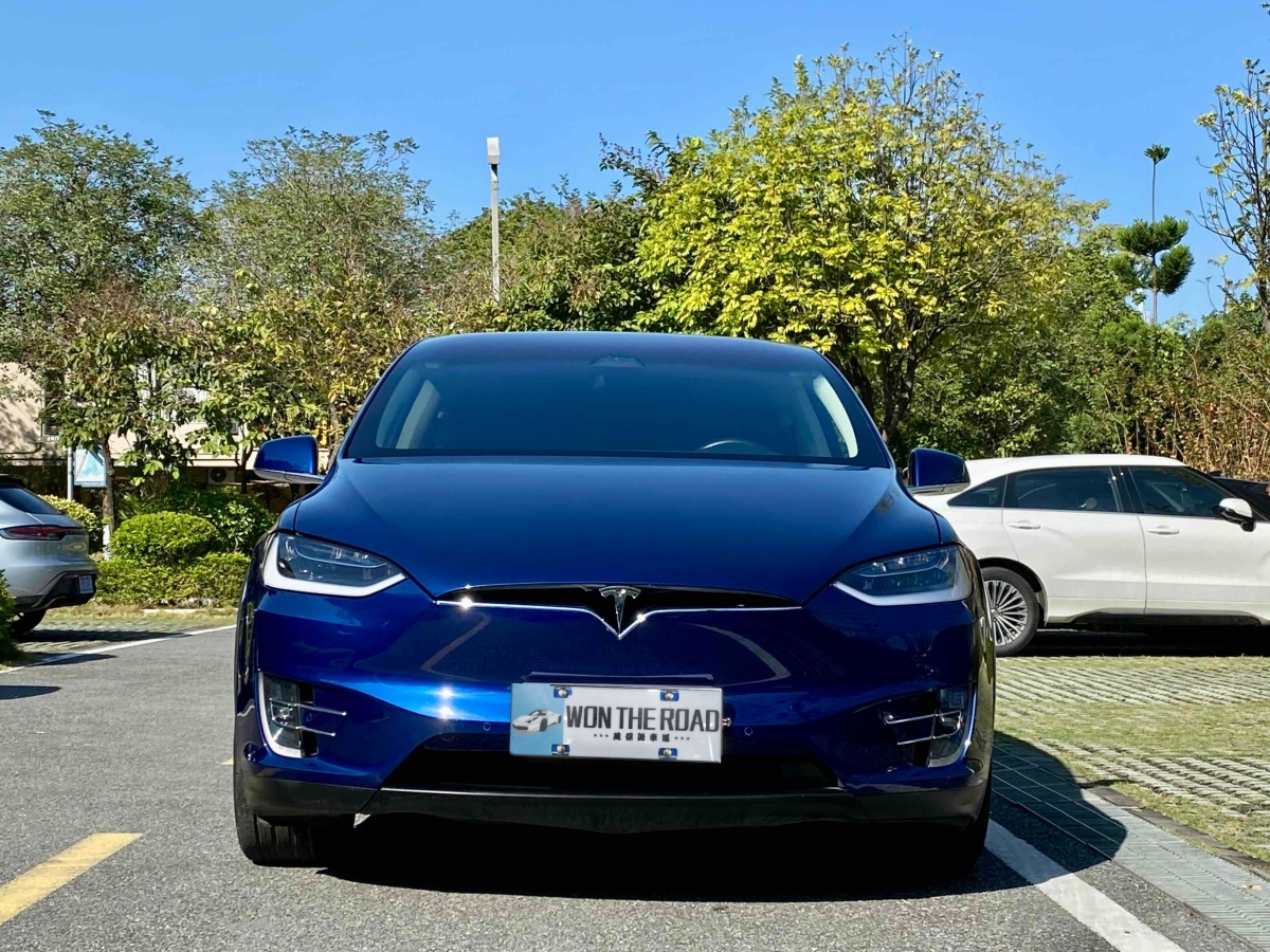 特斯拉 Model X  2017款 Model X 100D 長(zhǎng)續(xù)航版圖片