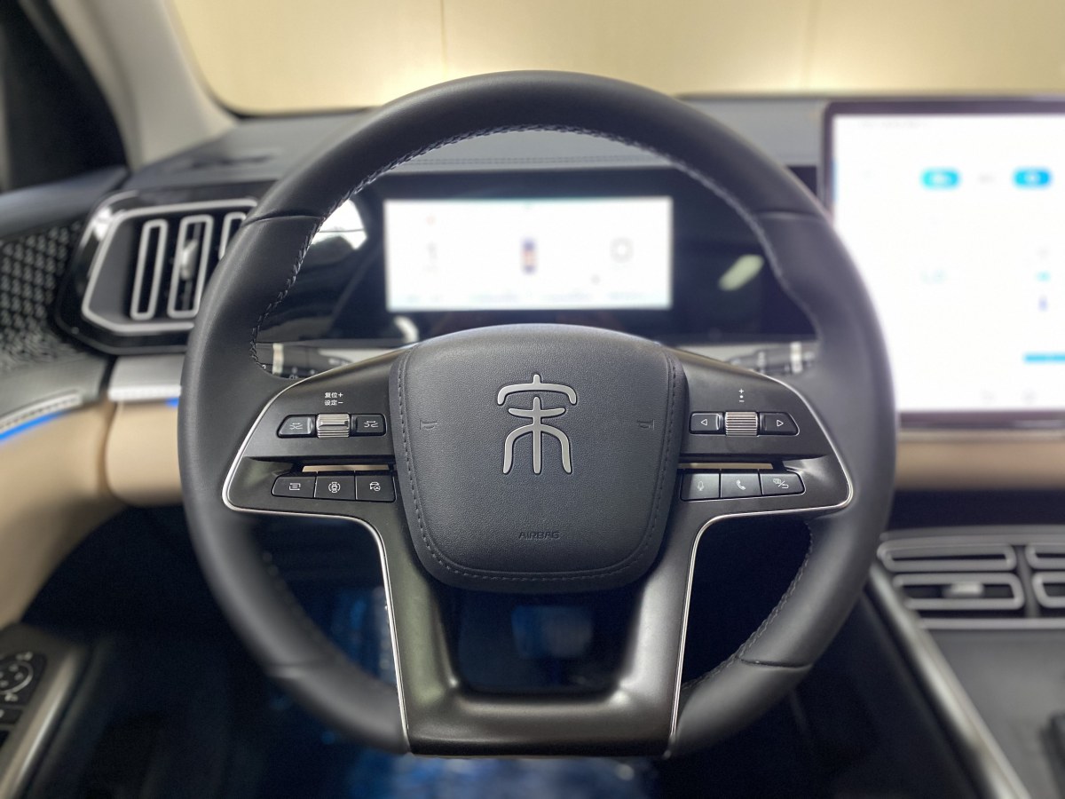 比亞迪 宋Pro新能源  2025款 DM-i 115KM卓越型圖片