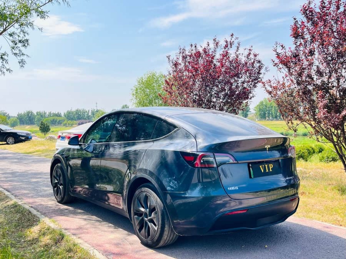特斯拉 Model Y  2024款 后輪驅(qū)動(dòng)版圖片
