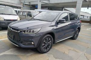 宋新能源 比亚迪 宋EV500 智联领动型