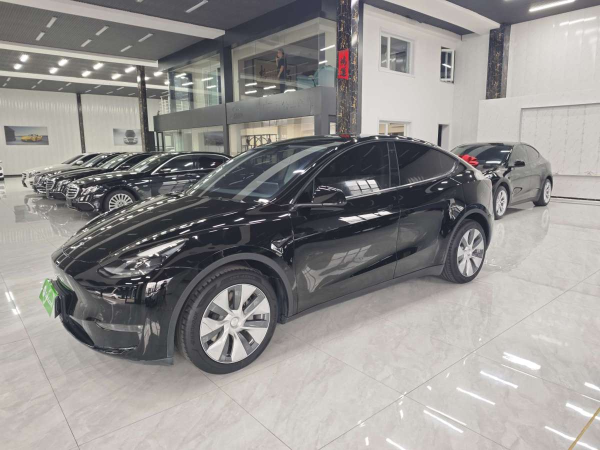 特斯拉 Model 3  2021款 標準續(xù)航后驅(qū)版圖片