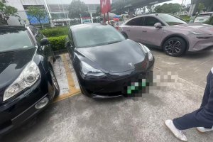 Model 3 特斯拉 后輪驅(qū)動(dòng)版