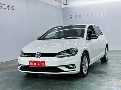 2019年3月 大众 高尔夫 230TSI 自动舒适型图片