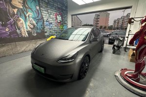 Model Y 特斯拉 Performance高性能全輪驅(qū)動版
