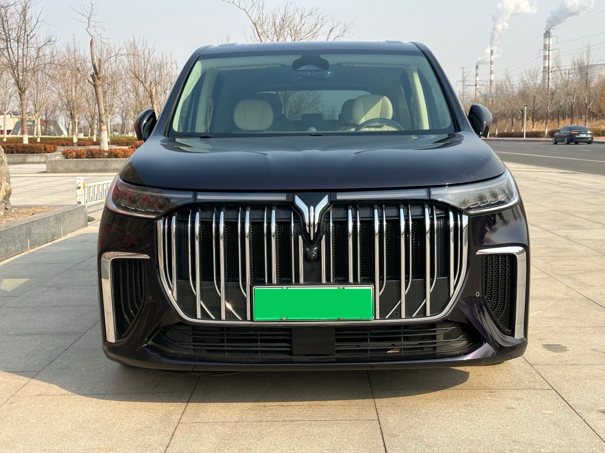 嵐圖 夢(mèng)想家  2024款 PHEV 超長(zhǎng)續(xù)航旗艦版圖片