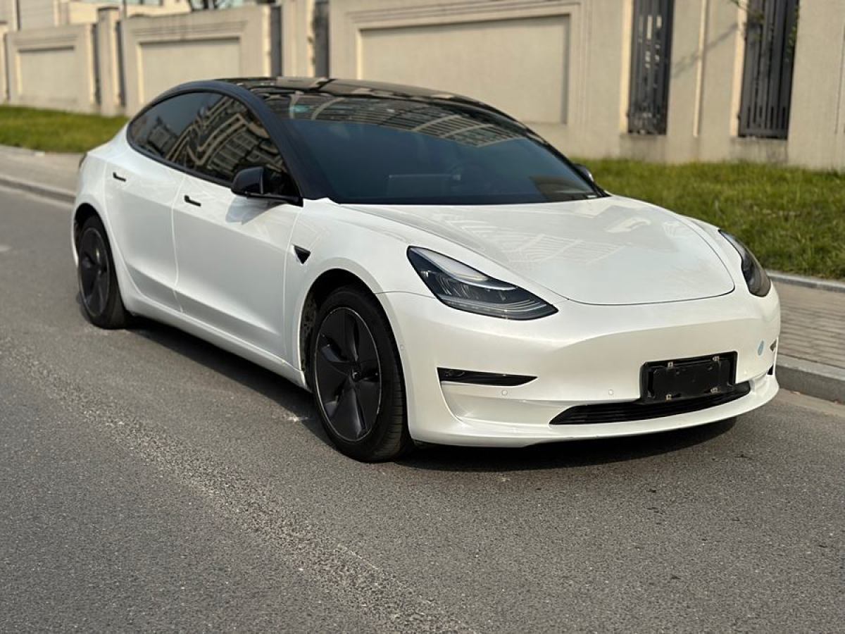 特斯拉 Model 3  2019款 長續(xù)航全輪驅(qū)動版圖片