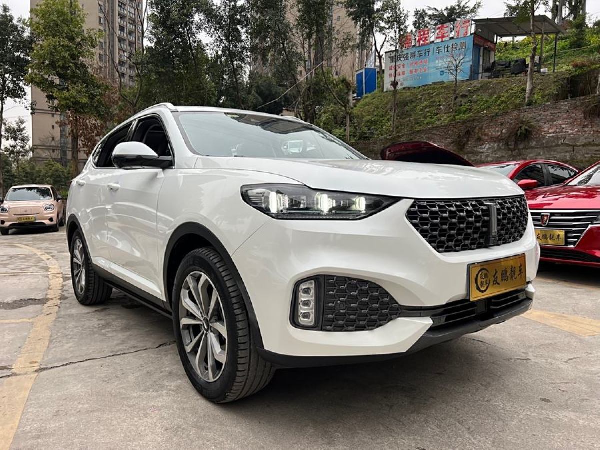 WEY VV6  2020款 2.0T 兩驅(qū)智護+圖片