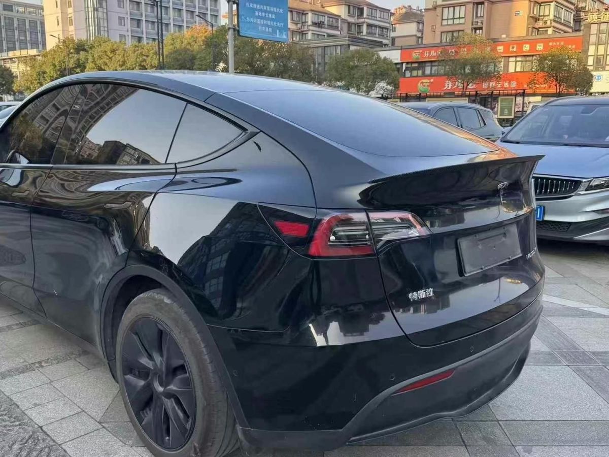 特斯拉 Model Y  2024款 Performance高性能版圖片