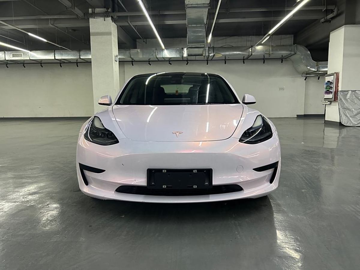 特斯拉 Model 3  2021款 標準續(xù)航后驅(qū)升級版 3D6圖片