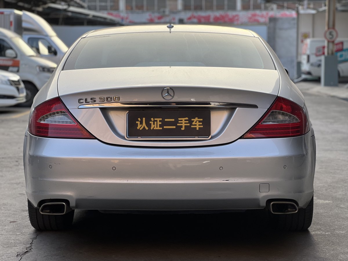 奔馳 奔馳CLS級  2009款 CLS 300圖片