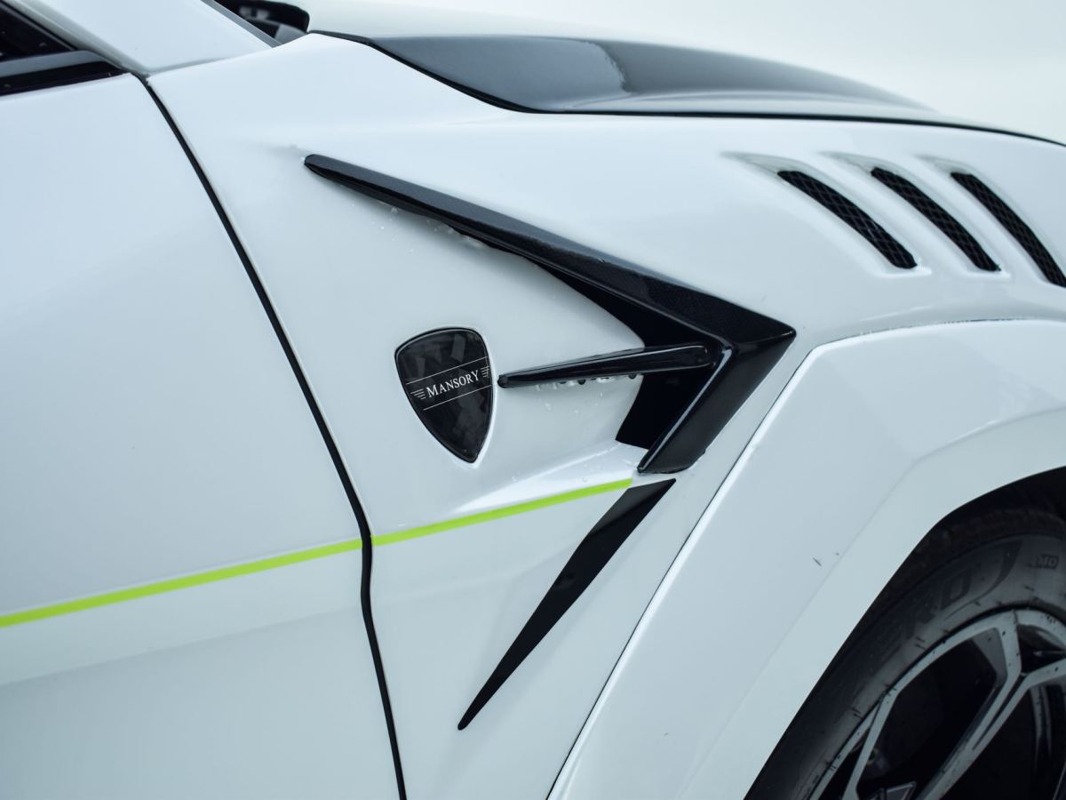 蘭博基尼 Urus  2018款 4.0T V8圖片