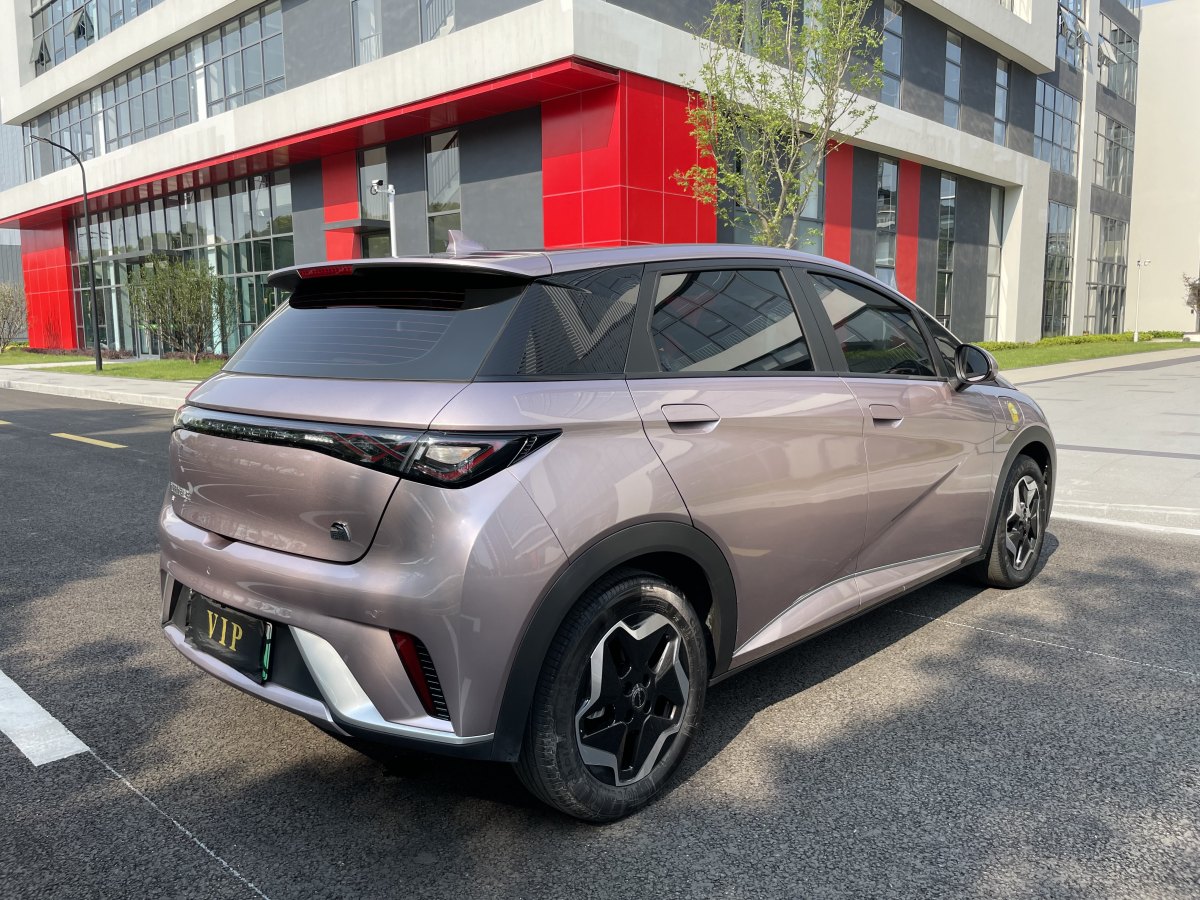 2022年11月比亞迪 海豚  2021款 405km 時(shí)尚版