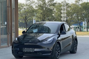 Model Y 特斯拉 改款 标准续航后驱升级版