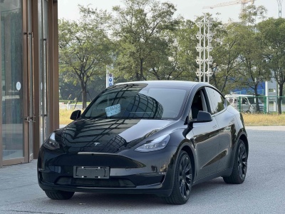 2021年4月 特斯拉 Model Y 改款 標(biāo)準(zhǔn)續(xù)航后驅(qū)升級版圖片