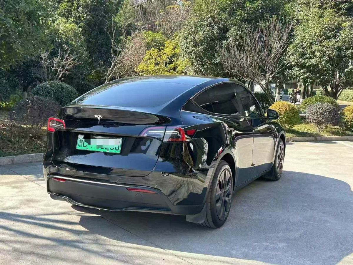 特斯拉 Model Y  2024款 Performance高性能版圖片