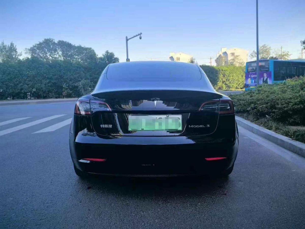 特斯拉 Model X  2020款 Performance 高性能版圖片